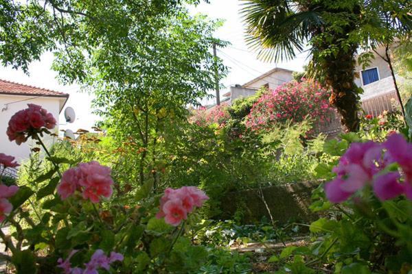 Mravak Apartments Trogir Dış mekan fotoğraf